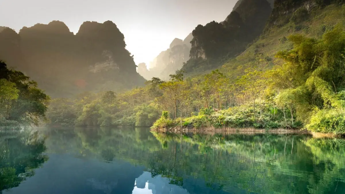 高质量高效